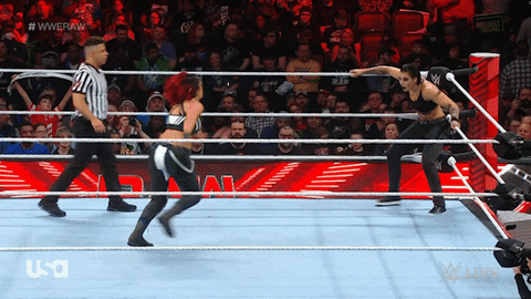 Wwe Wrestling GIF by USA Network
