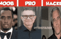 Noob Vs Pro GIF