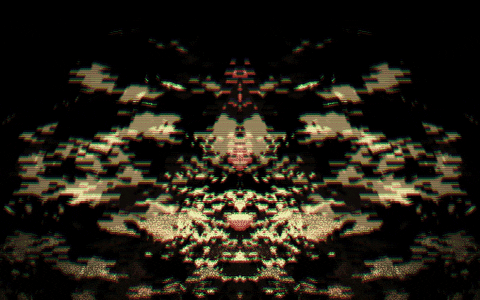 GIF by Leo Pyrata