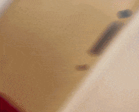 officialcrawleytownfc crawley crawley town town team together GIF