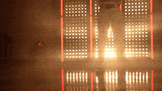Stanford Cardinal Softball GIF by NCAA Championships