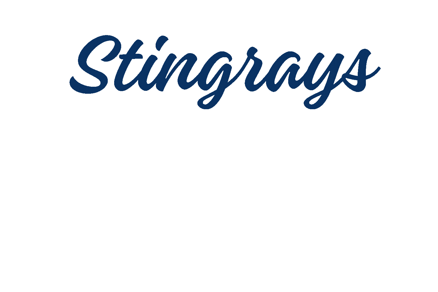 Echl Lets Go Rays Sticker by SCStingrays