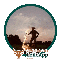 Black Angus Boi Sticker by LeiloApp