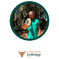 Black Angus Boi Sticker by LeiloApp