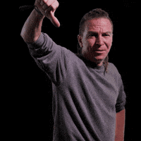 Ceska Republika Cesko GIF by Česká pirátská strana