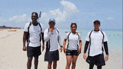 BlauHotels animacion varadero blauhotels GIF