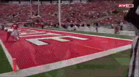 touchdown ohio state buckeyes michigan football ohio state football GIF