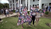 rush sorority recruitment mississippi ole miss GIF