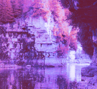GIF by SCKUSE