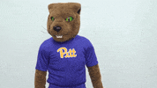 looking college sports GIF by Pitt Panthers