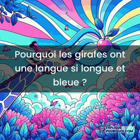 Langue Bleue GIF by ExpliquePourquoi.com