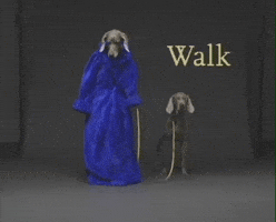 William Wegman Dog GIF by Jason Clarke