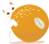 Dogiscat Sticker