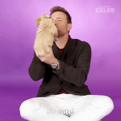 Ewan Mcgregor Dog GIF by BuzzFeed
