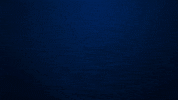 GIF by NYCFC