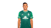 Rapp Sticker by SV Werder Bremen