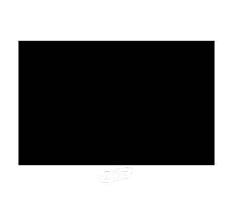 Prevent Human Trafficking Sticker by ZOE International