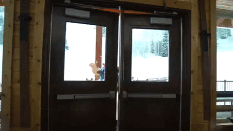 bigblue GIF by Utah State University