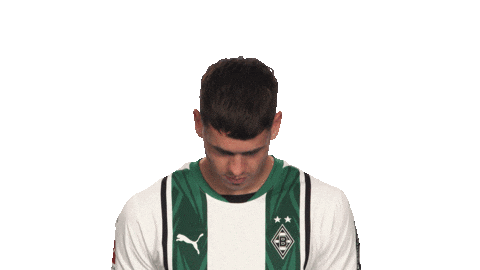 Look Up Borussia Moenchengladbach Sticker by Bundesliga