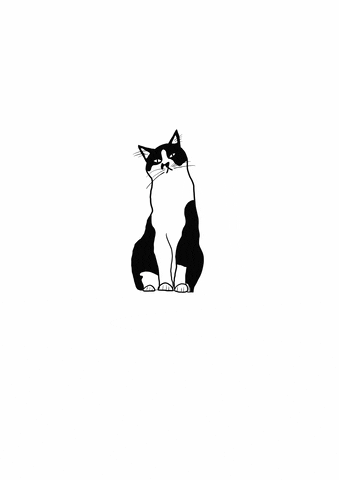 Yamohcreates giphyupload cat GIF