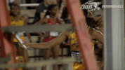north dakota state bison GIF by NDSU Athletics