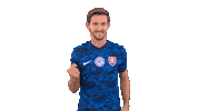 Celebration Goal Sticker by Slovensky futbalovy zvaz