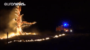 Fire Wildfire GIF by euronews