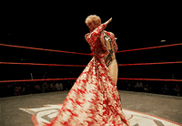 Lucha Libre Film GIF