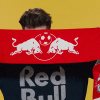 Peek-A-Boo Red Bull Gaming GIF by Red Bull