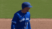 You Got It Mlb GIF by Toronto Blue Jays
