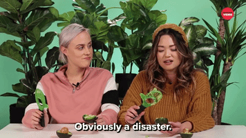 Obviously A Disaster