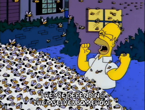 homer simpson GIF