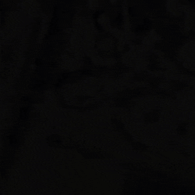 Nicodemusss giphyupload space star sun GIF