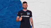 Bundesliga Berlin GIF by Hertha BSC