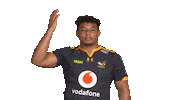 Rugby Sticker by Wasps