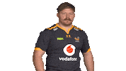 Rugby Sticker by Wasps