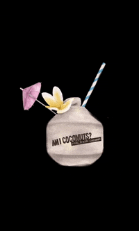 AMICoconuts  GIF