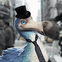 Fathers Day Best Dad GIF by Dodo Australia