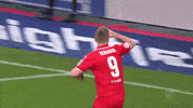 fckoeln football soccer celebration bundesliga GIF