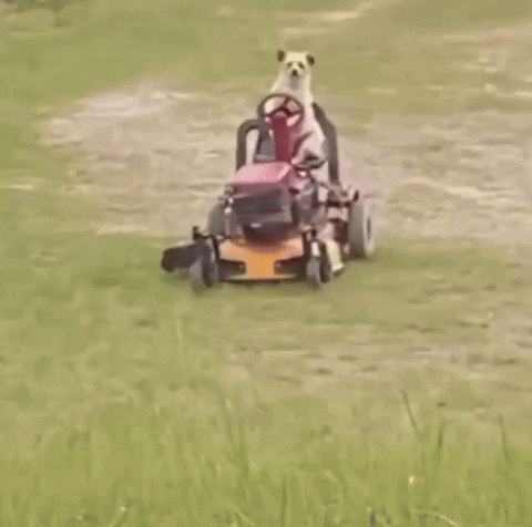 Dog Hard Work GIF by EsZ  Giphy World