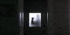 emma roberts horror GIF by A24