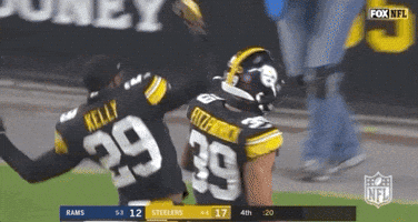 Regular Season Football GIF by NFL