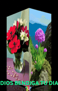 Flores Jardin GIF by Murcianys LLC