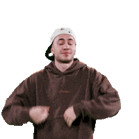 TeamLp picon leo picon Sticker