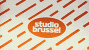 rik GIF by Studio Brussel