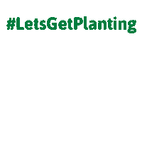 Plant Charity Sticker by Trees for the Future