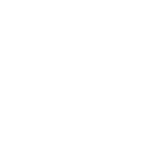 CAMraleigh giphygifmaker Sticker