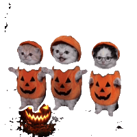 Spanish Dancing Sticker by LA CALABAZA DAILY