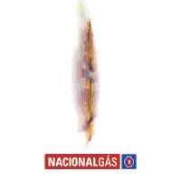 Pratinha Sticker by Nacional Gás