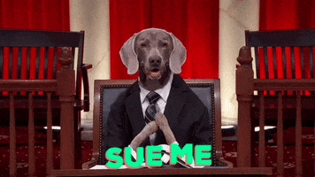 chuber dog lawyer sue me GIF